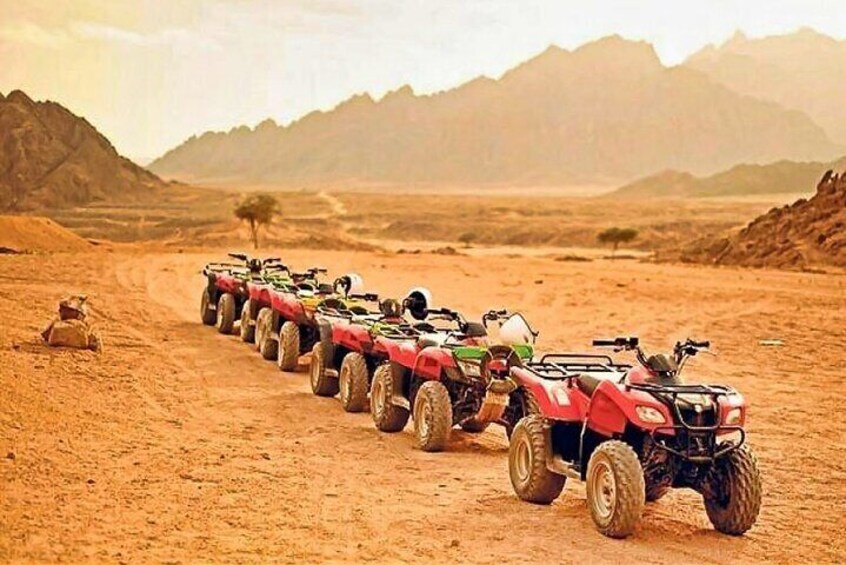  Safari Tour in Luxor 