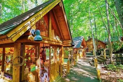 Day tour to Shikisai-no-oka, Asahiyama Zoo, Blue Pond | Sapporo