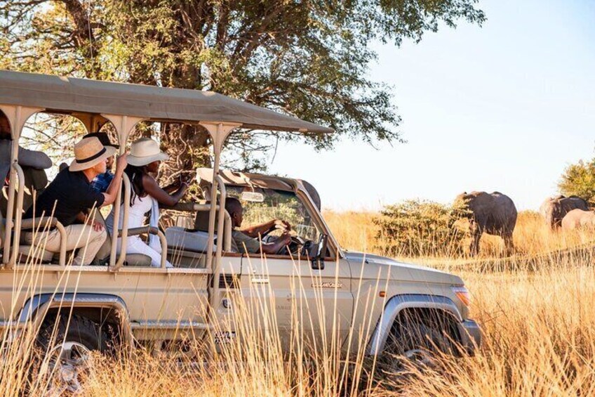 Namushasha Game Drive