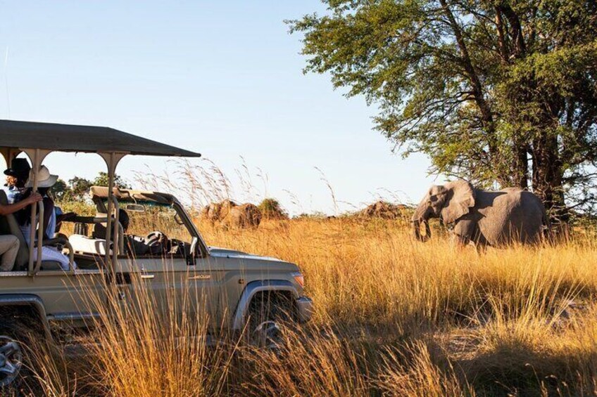 Game Drive