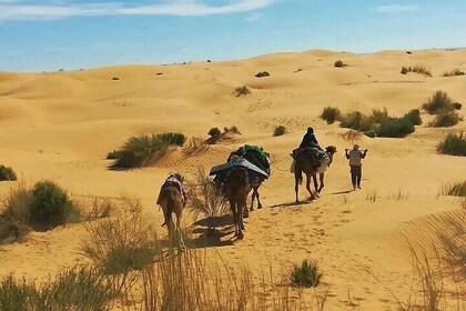 7-Day Northern South Tour from Tunis