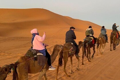 From Casablanca: 8 day tour to Merzouga desert & Imperial cities