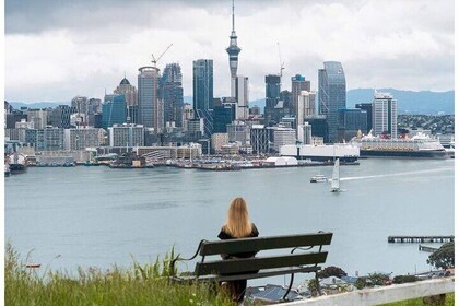 A 5 Hour Private City Excursion Unveiling Auckland's Treasures