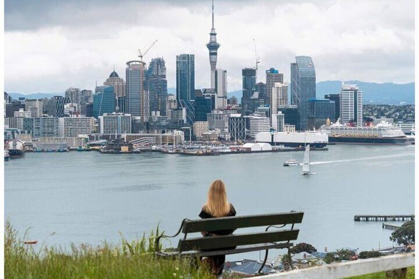 A 4 Hour Private City Excursion Unveiling Auckland's Treasures