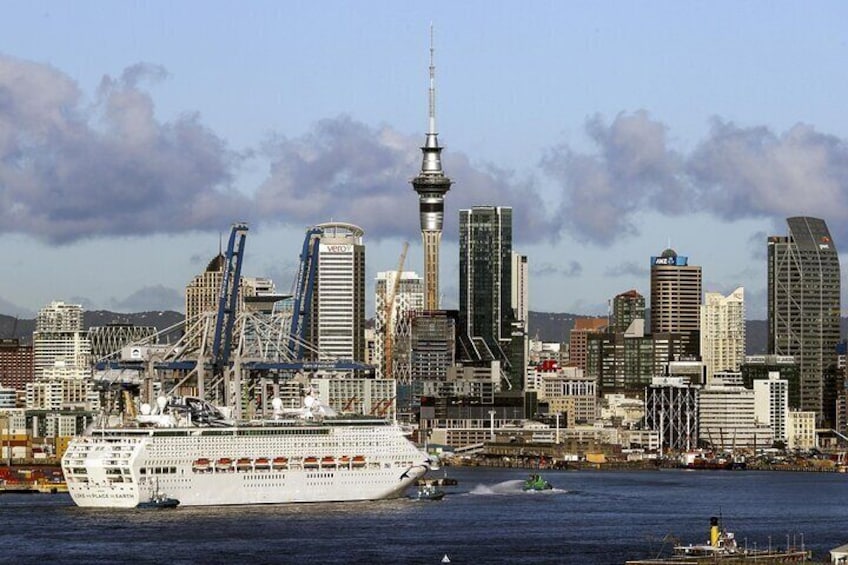 A 4 Hour Private City Excursion Unveiling Auckland's Treasures