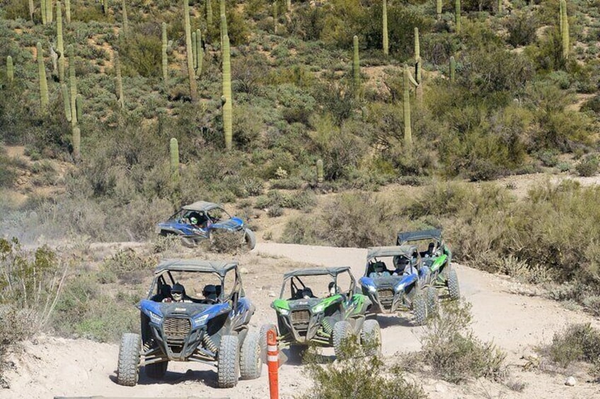 Ancient Ruins Tour - Guided Arizona Desert Tour by UTV