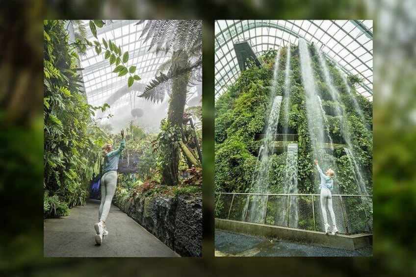 Personal Singapore Vacation Photographer