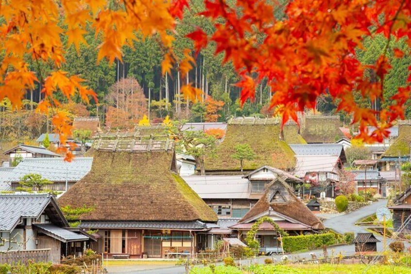 Kyoto Ine Bay, Amanohashidate and Miyama Village Tour From Osaka