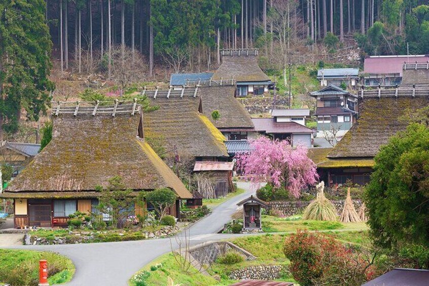 Kyoto Ine Bay, Amanohashidate and Miyama Village Tour From Osaka