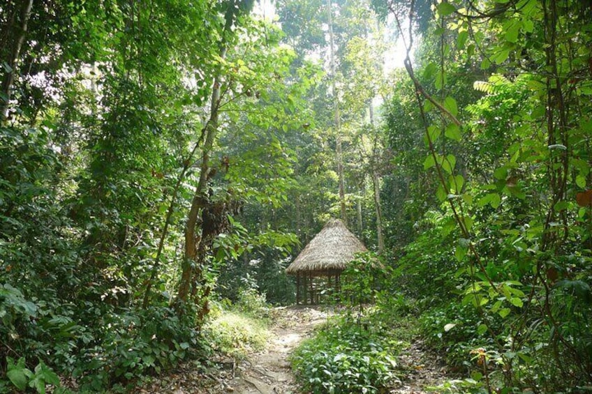  Hike to Elephant beach exploring tropical flora and fauna