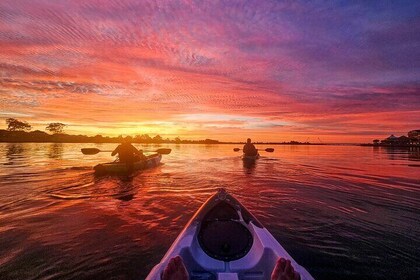 Sunrise Wildlife and Wetlands Kayaking Tour