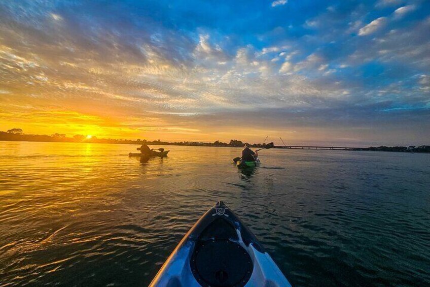 Sunrise Wildlife and Wetlands Kayaking Tour