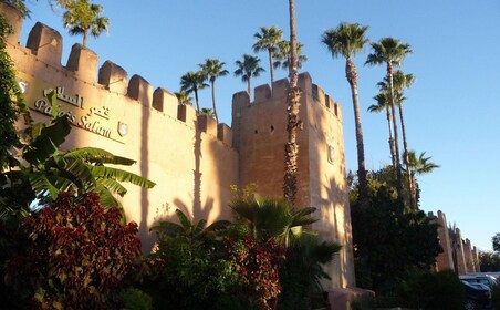 From Agadir: Taroudant & Tiout guided excursion