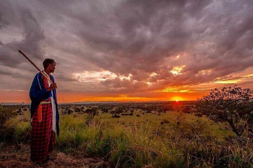 Masai Culture in Masai Mara conservancy