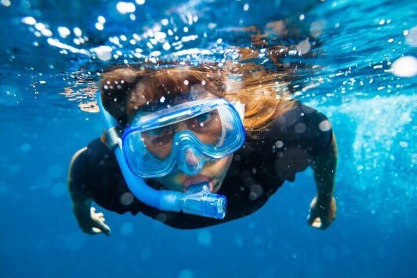Visit Palma by speedboat from Can Pastilla