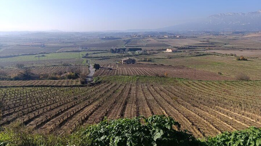 3D2N Private Tour to Rioja From Madrid