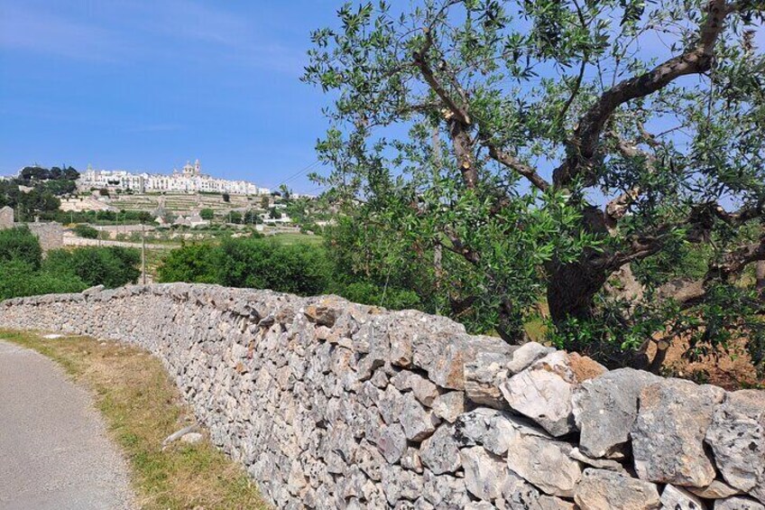 E-bike tour between Locorotondo, Cisternino and Martina Franca