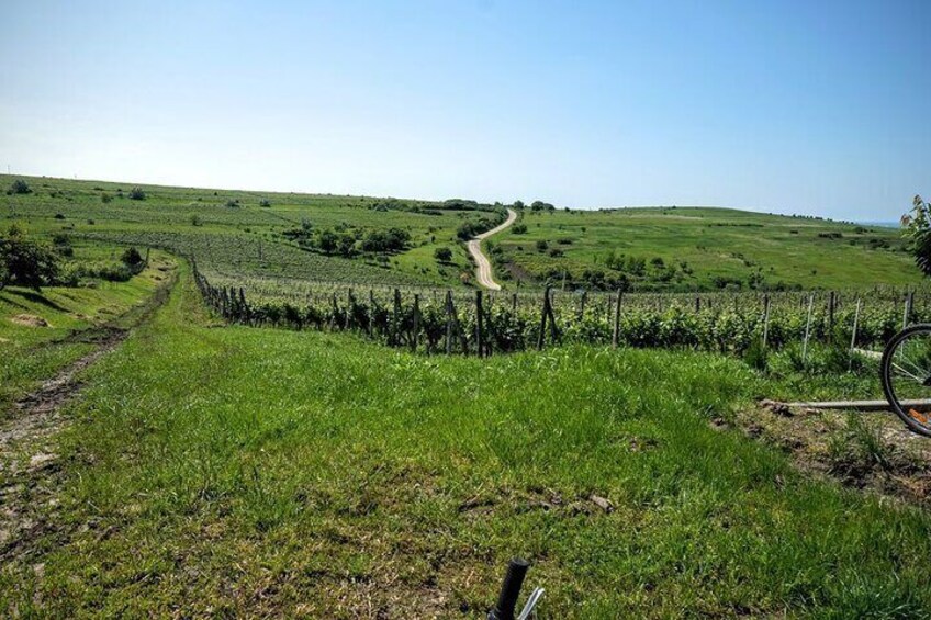 The Wineries of Romania Discover the Story in Every Drop