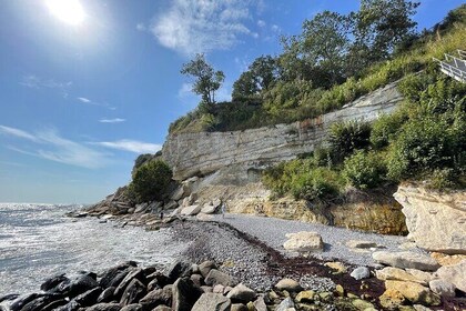Stevn Klint UNESCO Heritage Tour and Vikingborg Fort.