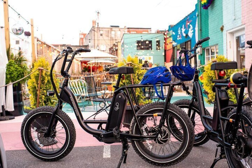 E-Bike Mural Tour of Roanoke