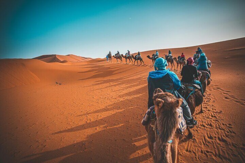 Agafay Desert Quad Bike, Camel Ride, Dinner under Stars