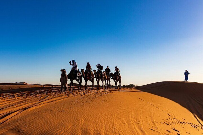 Agafay Desert Quad Bike, Camel Ride, Dinner under Stars