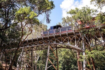 Victorian Steam Railway Journey with The Great House Tour Option