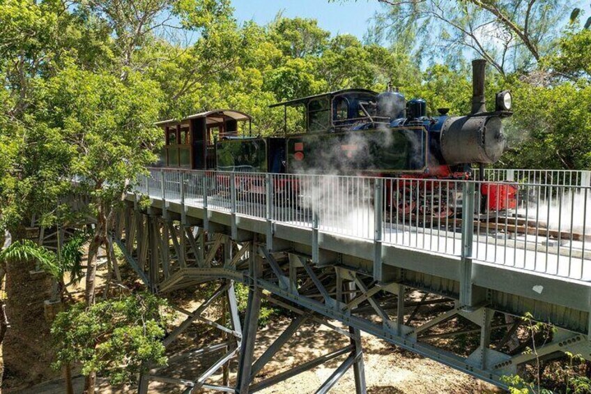 Victorian Steam Railway Journey with The Great House Tour Option