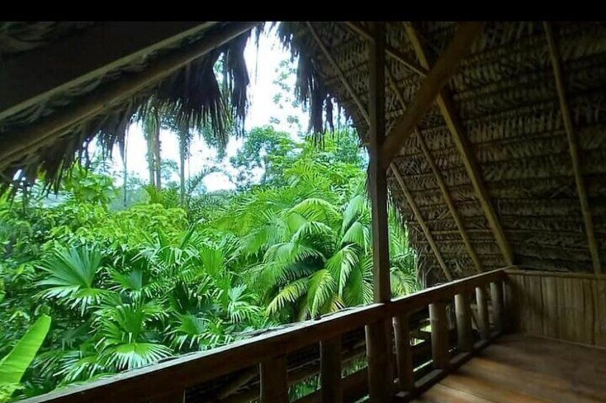 View from balcony of the cabin.