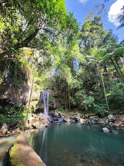 Taste of Tamborine Mountain Tour