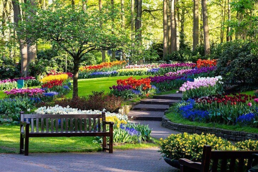 Keukenhof motive