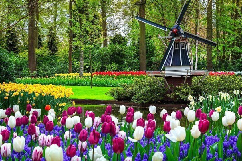 Keukenhof motive