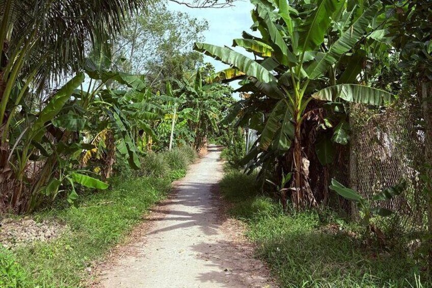 Rural Can Tho Eco Cycling