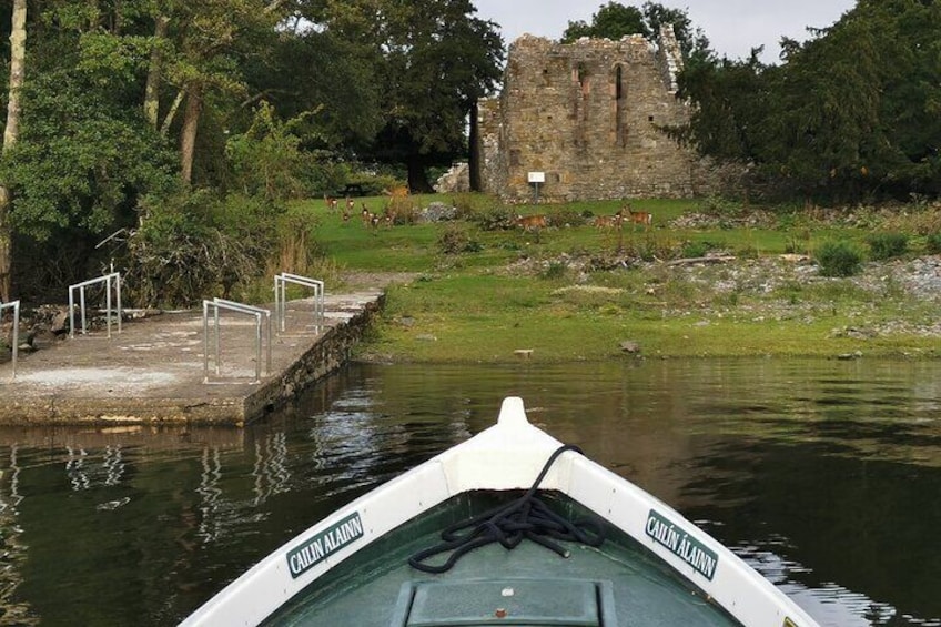 Lakes and Trails Tour (Boat & Bike)