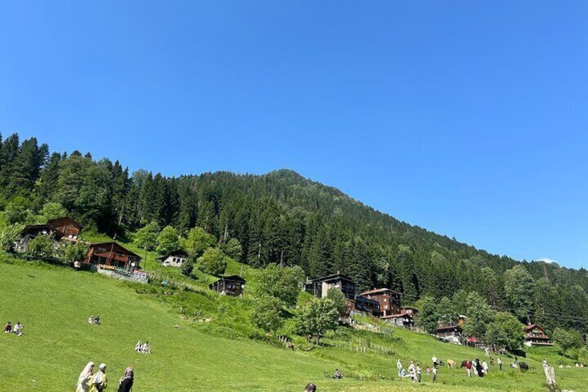 Rize and Ayder Tour Mountains and River