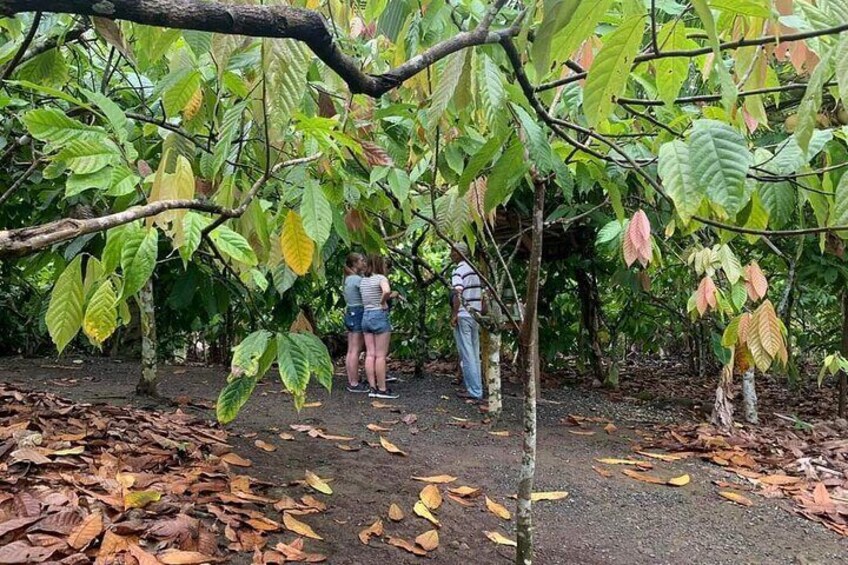 Punta Cana Safari Tour