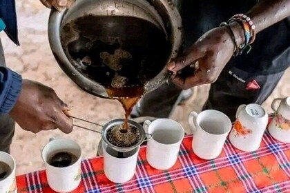 Discover Roasted Coffee Beans in Moshi Kilimanjaro