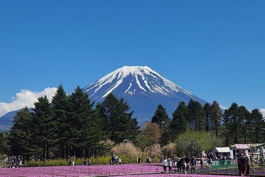 Mt Fuji Private Day Tour With English Language Driver