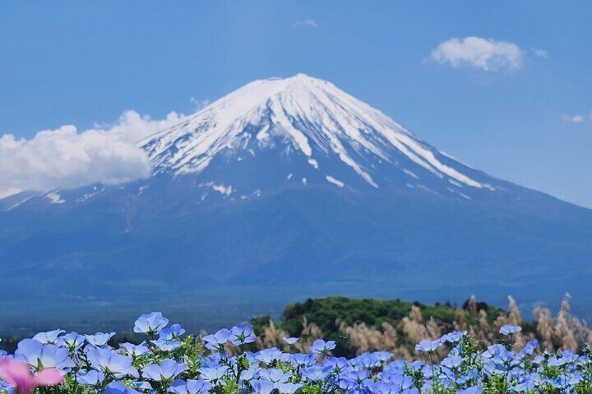 Mt Fuji Private Day Tour With English Language Driver