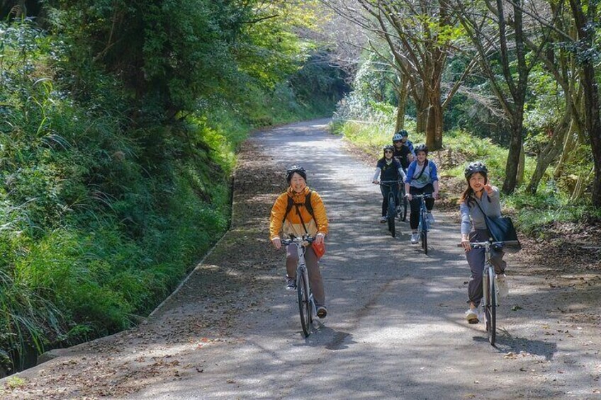 Fukuoka Bike Tour Explore Buzen Hidden Gems