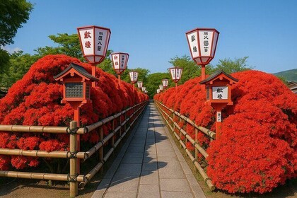 Kyoto Highlights Eastern Western Northern and Southern Routes