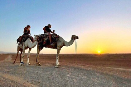 Tour al atardecer por el desierto de Agafay con paseo en camello, cena y es...