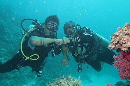 Plongée sous-marine , plongée avec tuba , et baignade à Jeddah