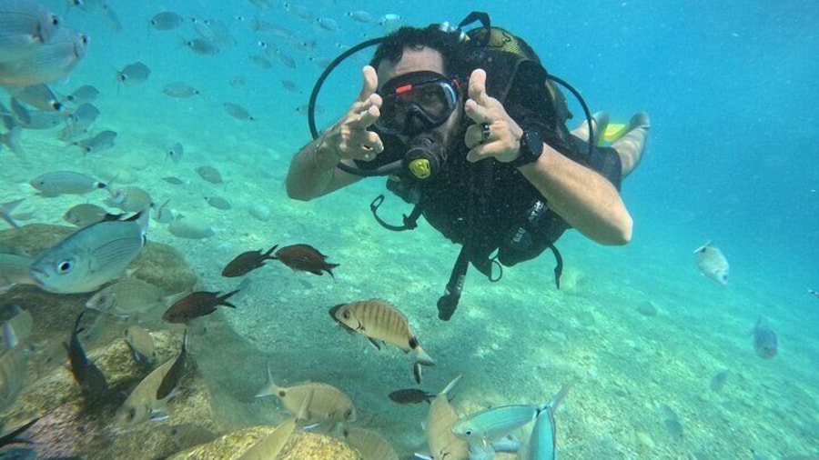 Snorkeling , Diving , swiming and boat trip in Jeddah