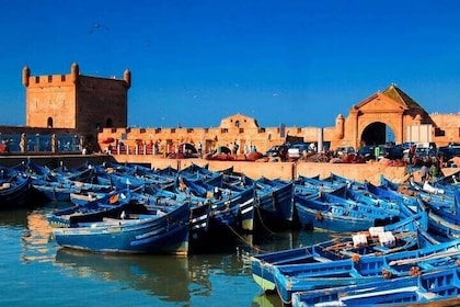 Marrakech to Essaouira: Charming Coastal Day Trip | Small-Group.