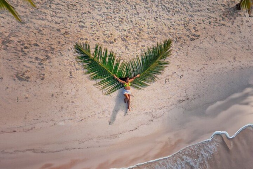 Beach Angel Palm Drone Photoshoot