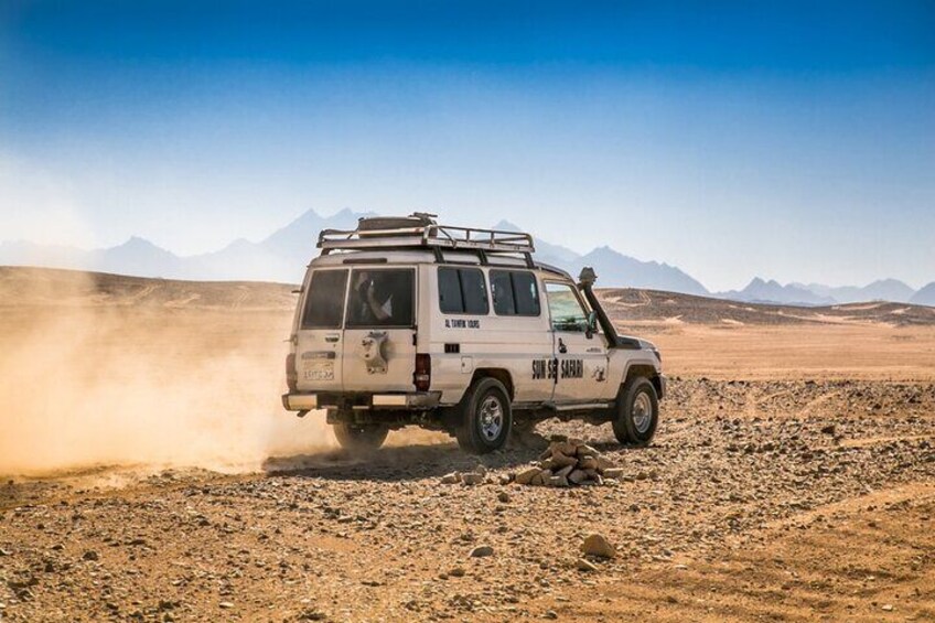 ATV Quad Bike, Jeep, Buggy, Camel Tour with Dinner from Hurghada