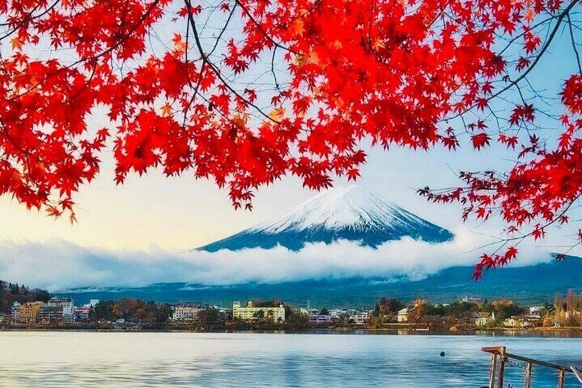 Private Sightseeing to Mt Fuji and Hakone with English Driver