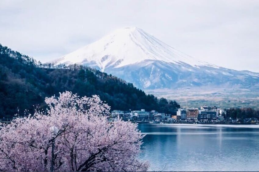 Private Sightseeing to Mt Fuji and Hakone with English Driver