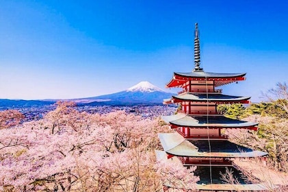 Private Sightseeing to Mt Fuji and Hakone with English Driver